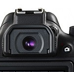 初心者のデジタル一眼カメラには光学ファインダーは必要？液晶画面で十分？