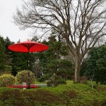 カメラの露出について？カメラ初心者を惑わす理解しにく言葉です
